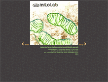 Tablet Screenshot of mitolab.lf1.cuni.cz